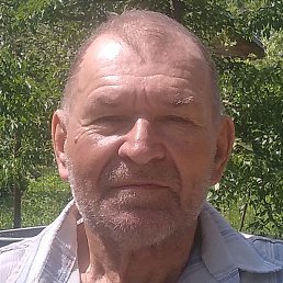 �������, ������, 71 ���