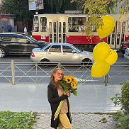 ������, 41 ���, �����������