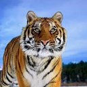 ���� ����, ������, 27 ��� - ��������� 16 ����� 2026 � ������ ���� ����������