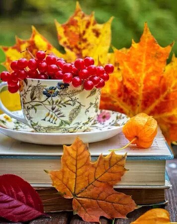  ,  ,  , ...    ,    ...