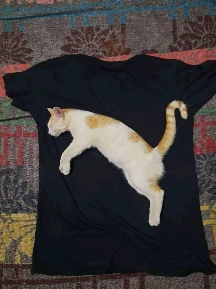 Новый логотип PUMA