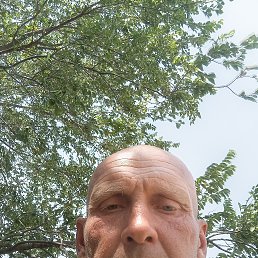, 43 , 