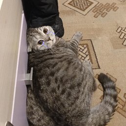 ���� �������, ��������, 25 ��� - ��������� 3 ����� 2024