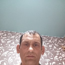  , 41, 