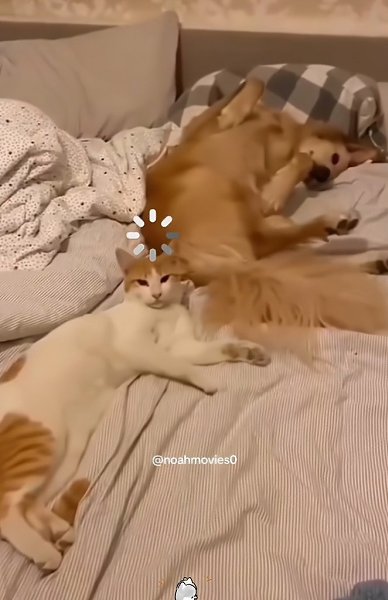       - 2