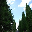 ���� �������, ������, 60 ��� - ��������� 19 ������� 2025 � ������ ����� ������������, ��������