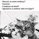 ���� �������, ������ - ��������� 4 ���� 2026 � ������ ������ ��������