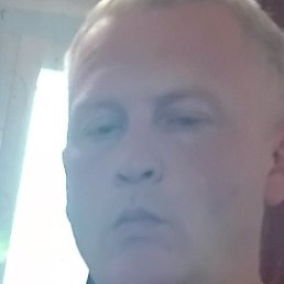 ������, ������������, 41 ���