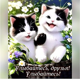 �������, ������, 44 ����