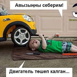�����, ������������, 60 ���
