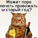 ���� �������, �������, 51 ��� - ��������� 20 ������� 2024 � ������ ���� ����������