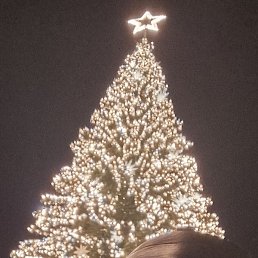 ������, ������, 58 ���