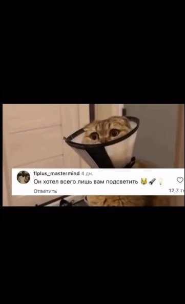 ����� ����� � ���� ������, ������� ������ ����� ������� ����������! - 2