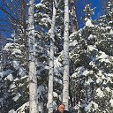 ���� ������, ���������, 48 ��� - ��������� 16 ������� 2026 � ������ ���� ����������