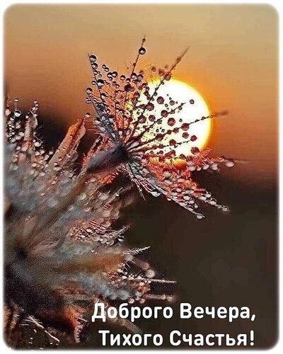   ! - 15  2025  16:39