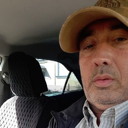 , 56, 