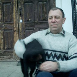 ������, 53 ����, �����