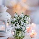 ���� ��nya, ������ - ��������� 8 ������� 2026 � ������ ���� ����������