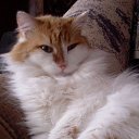 ���� ������, �����, 65 ��� - ��������� 20 ������� 2025