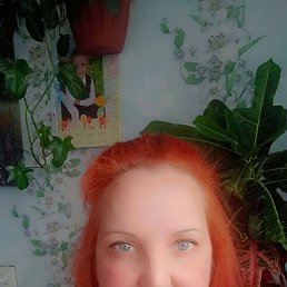 , 41, 