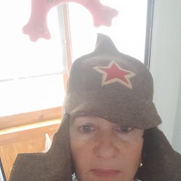 �����, ���������, 49 ���