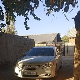 �������, �����������, 40 ���