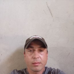, 33, 