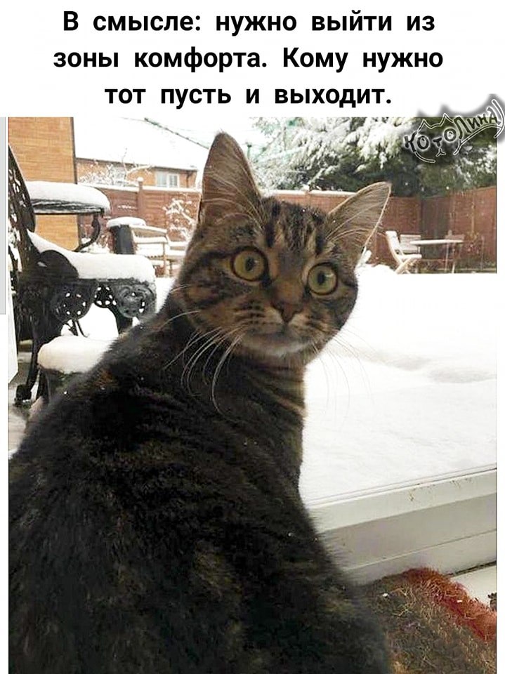   - 8  2025  09:15
