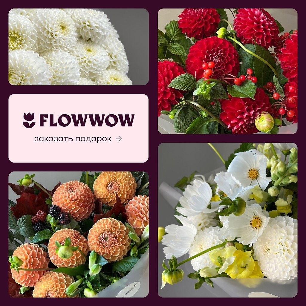     !  ?     Flowwow ...