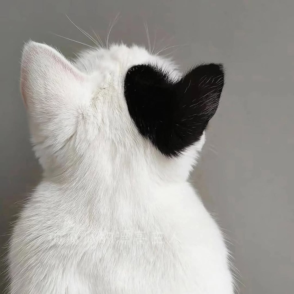  .  - - 2