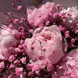 �������, ����, 47 ���