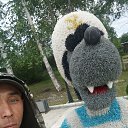 ���� �����, ����, 44 ���� - ��������� 6 ������� 2025 � ������ ���� ����������