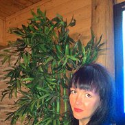 ����, 37 ���, ������