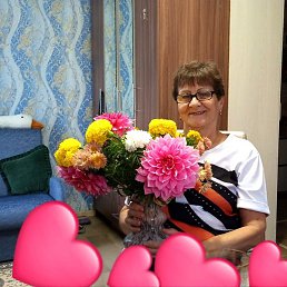 ����, ����, 66 ���