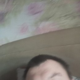 , 37, 