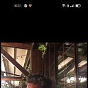 ���� Bülentttt, �������, 48 ��� - ��������� 6 ������ 2025