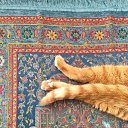 ���� �������, ������ - ��������� 22 �������� 2026 � ������ ������ ��������
