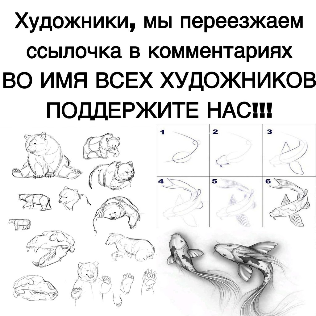   - 3  2025  17:06
