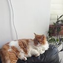 ���� ��������, ���������, 61 ��� - ��������� 8 ���� 2024 � ������ ���� ����������