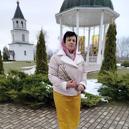 ���� �����, ������, 44 ���� - ��������� 5 ������ 2026