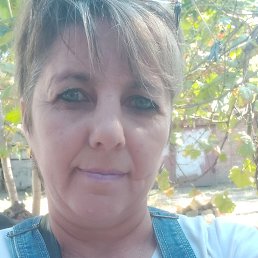 ���� �������, ���������, 53 ���� - ��������� 29 ������� 2023