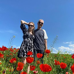 ������, ������, 68 ���