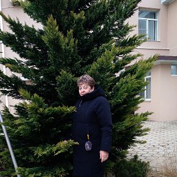 , 62, 
