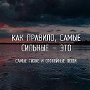 ���� ����, ������, 37 ��� - ��������� 5 ������ 2025 � ������ ���� ����������