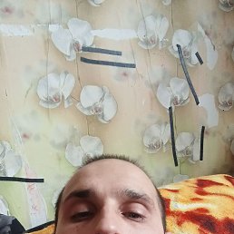 �����, 37 ���, ��������
