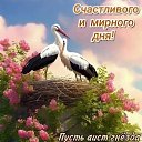 ���� Vera Ivanovna, ����� - ��������� 10 ������� 2026 � ������ ������ ��������