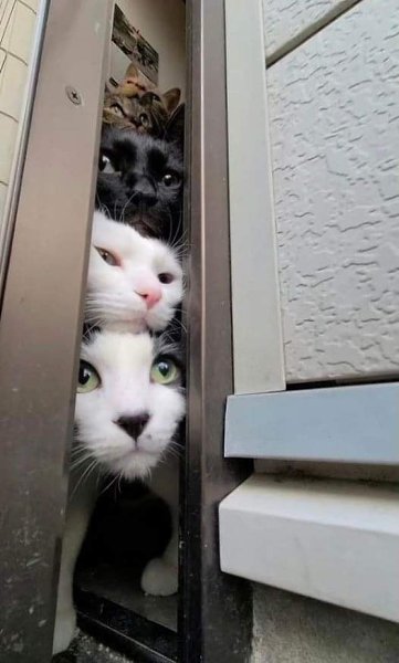 � ������ ����� � ������)