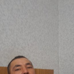 , 33, 