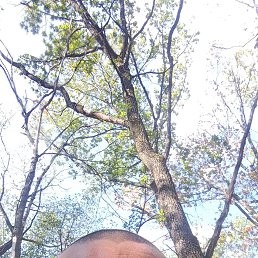 ���� ������ ������, ������, 47 ��� - ��������� 6 �������� 2025