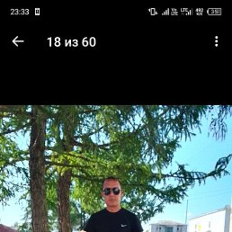 , 38 , 